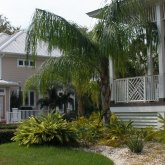 Город Палм Кост (Palm Coast) находится в северо-восточной части полуострова Флорида на побережье Атлантического океана и утопает в тропической растительности.